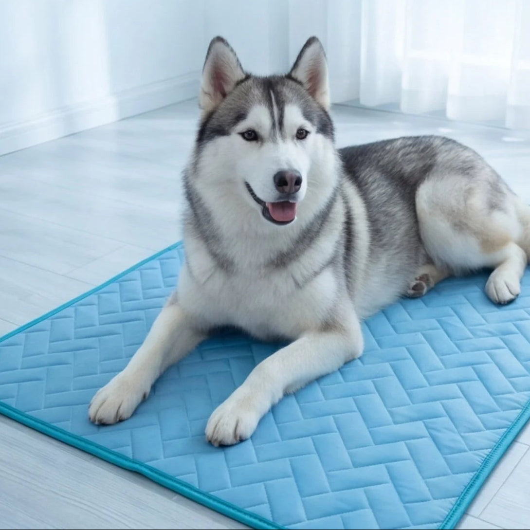 Dog Cooling Mat, Self Cooling Pet Pad Pressure Activated Gel, No Freezing Required Cooling Pad for Dogs and Cats, Portable Cooling Mat for Indoor, Outdoor & Car Use